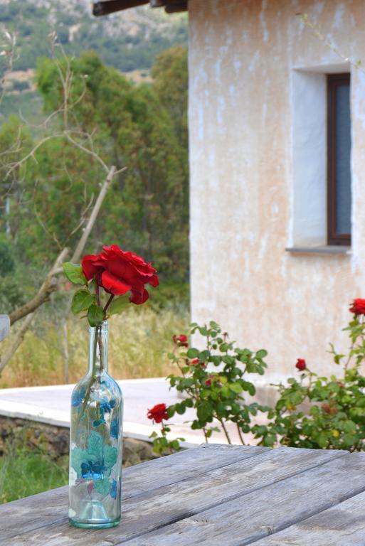 Agriturismo Rubinu Farm stay Galtelli