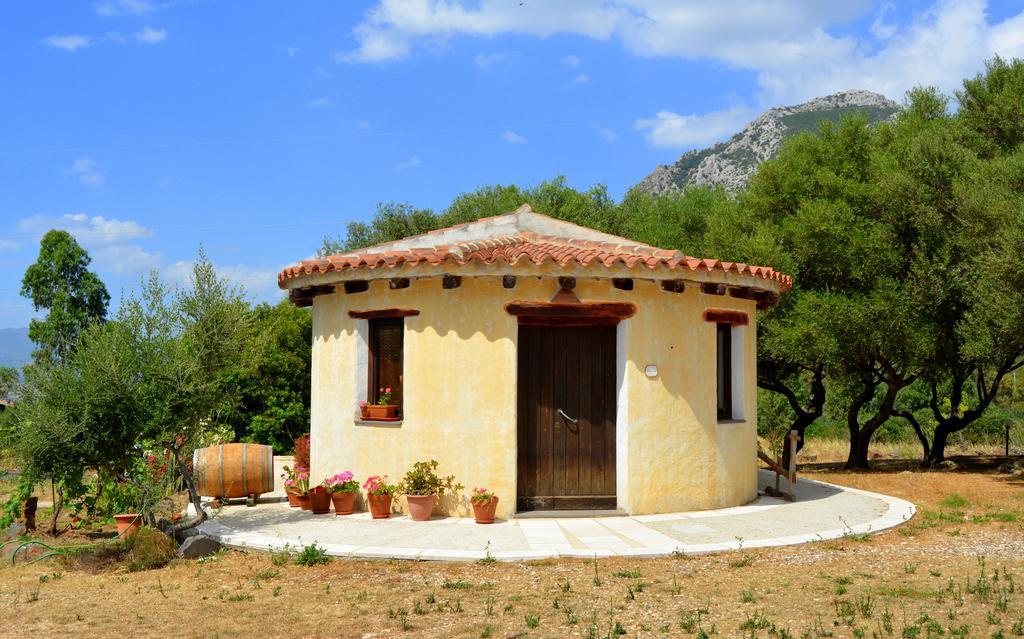 Farm stay Agriturismo Rubinu