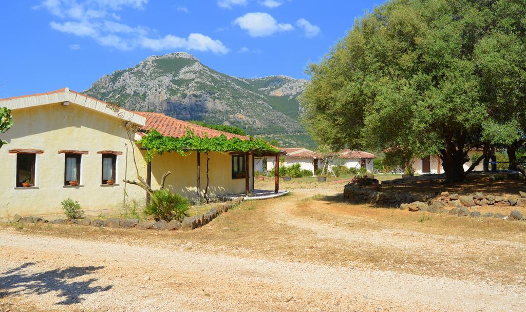 Farm stay Agriturismo Rubinu
