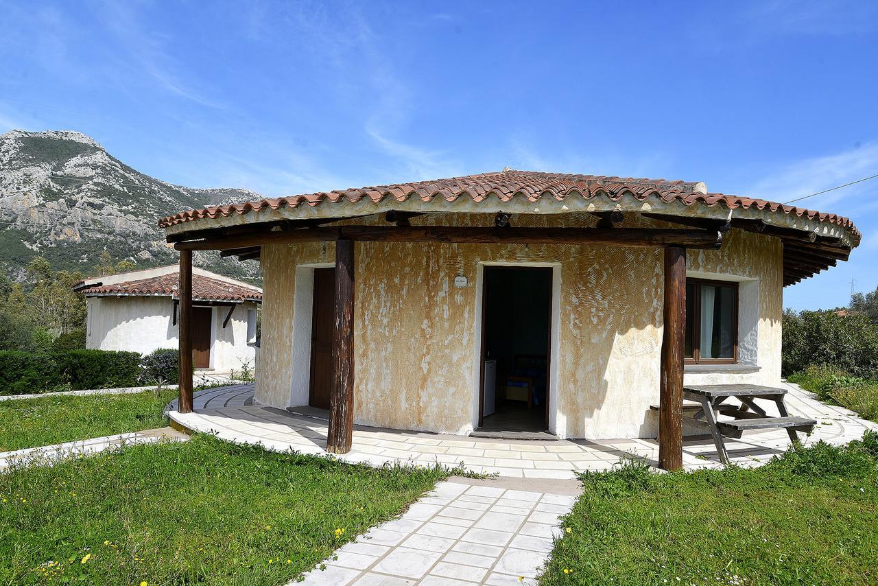 Farm stay Agriturismo Rubinu *