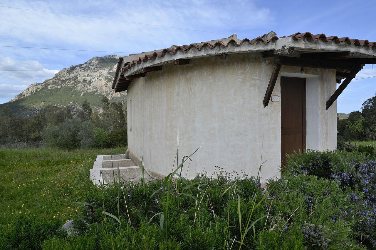 Farm stay Agriturismo Rubinu Galtelli
